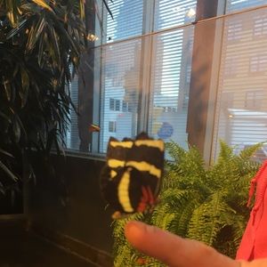 Meet your Posher, Tiara